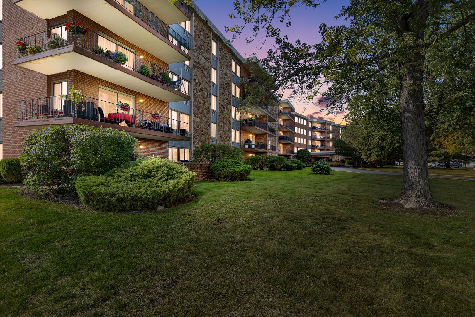 a view of a big yard with plants and large trees
