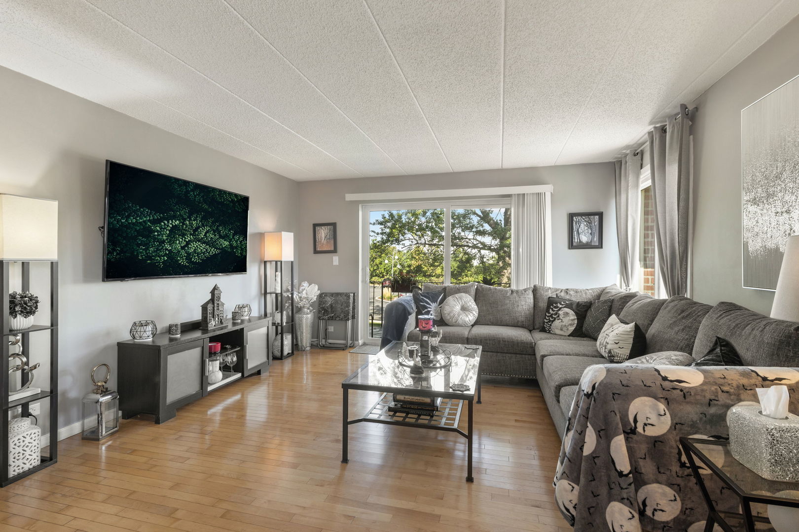 18 East Old Willow Road, Unit 210N Prospect Heights, IL 60070 - Photo 8 of 18 a living room with furniture and a flat screen tv