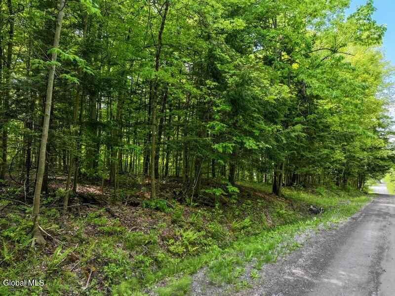 L2 Liddle Harris Road Putnam Station, NY 12861 - Photo 8 of 12 Road Frontage