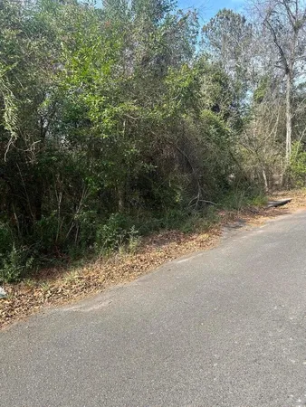 $7,900 | 0 Robinson Drive, New Ellenton, SC 29809