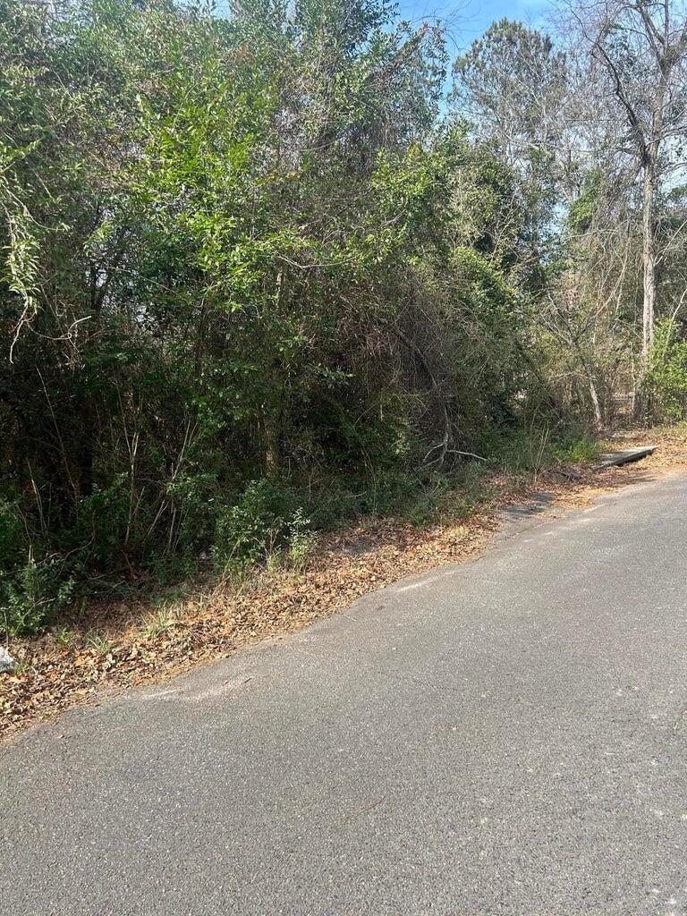 0 Robinson Drive New Ellenton, SC 29809 - Photo 3 of 9 20260122181818565848000000-o