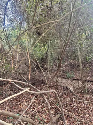 $7,900 | 0 Robinson Drive, New Ellenton, SC 29809