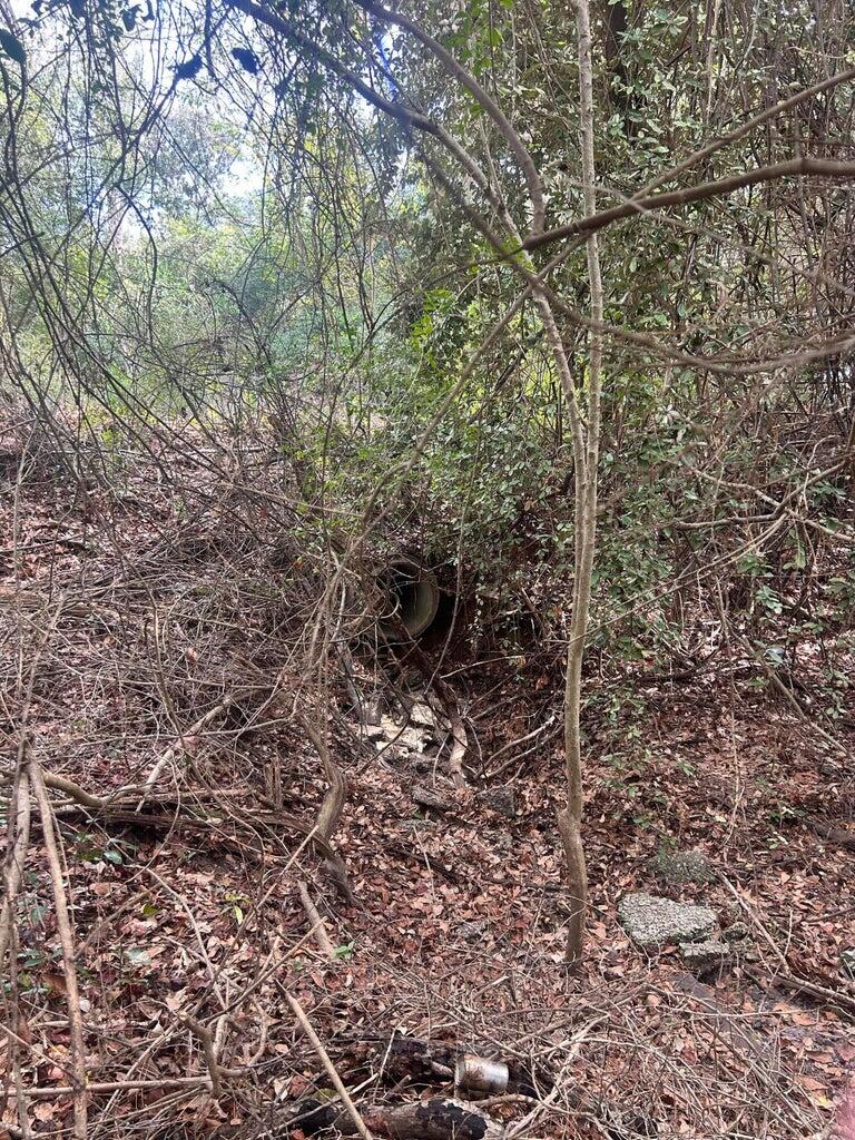 0 Robinson Drive New Ellenton, SC 29809 - Photo 5 of 9 20260122181609706108000000-o