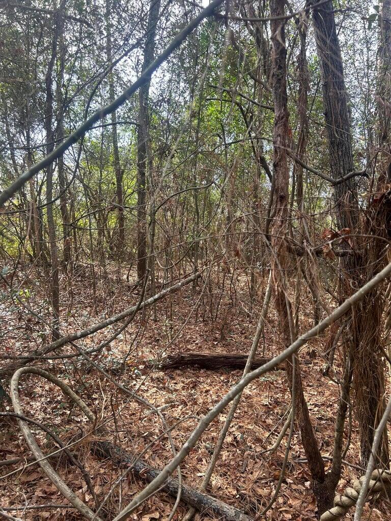 0 Robinson Drive New Ellenton, SC 29809 - Photo 8 of 9 20260122181716495635000000-o