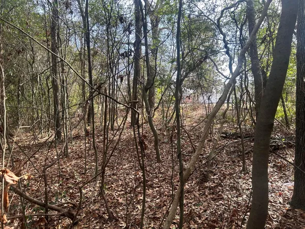 $7,900 | 0 Robinson Drive, New Ellenton, SC 29809