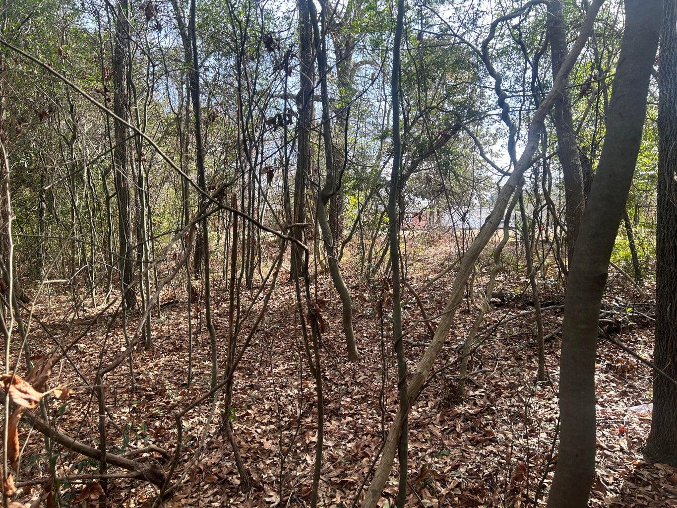 0 Robinson Drive New Ellenton, SC 29809 - Photo 9 of 9 20260122181611564550000000-o