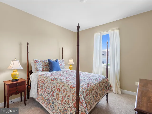 a bunch of flowers in front of the house