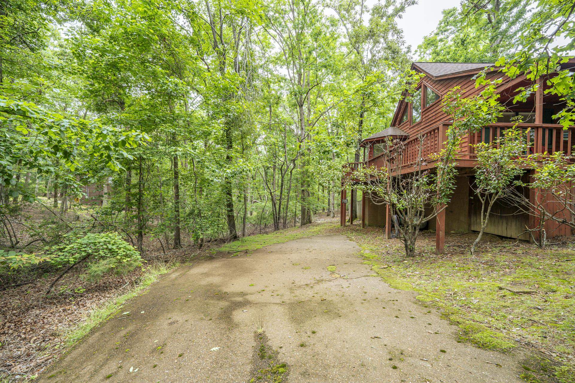 405 Murray Lane Counce, TN 38326 - Photo 33 of 36 a view of outdoor space yard and porch