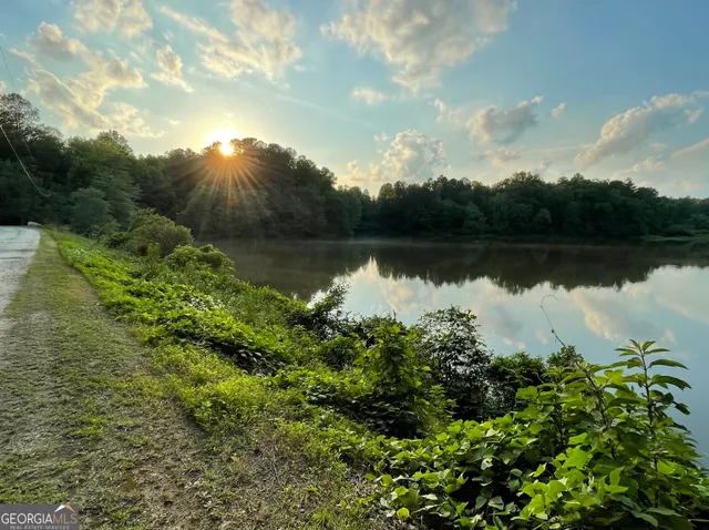 a view of a lake with a garden