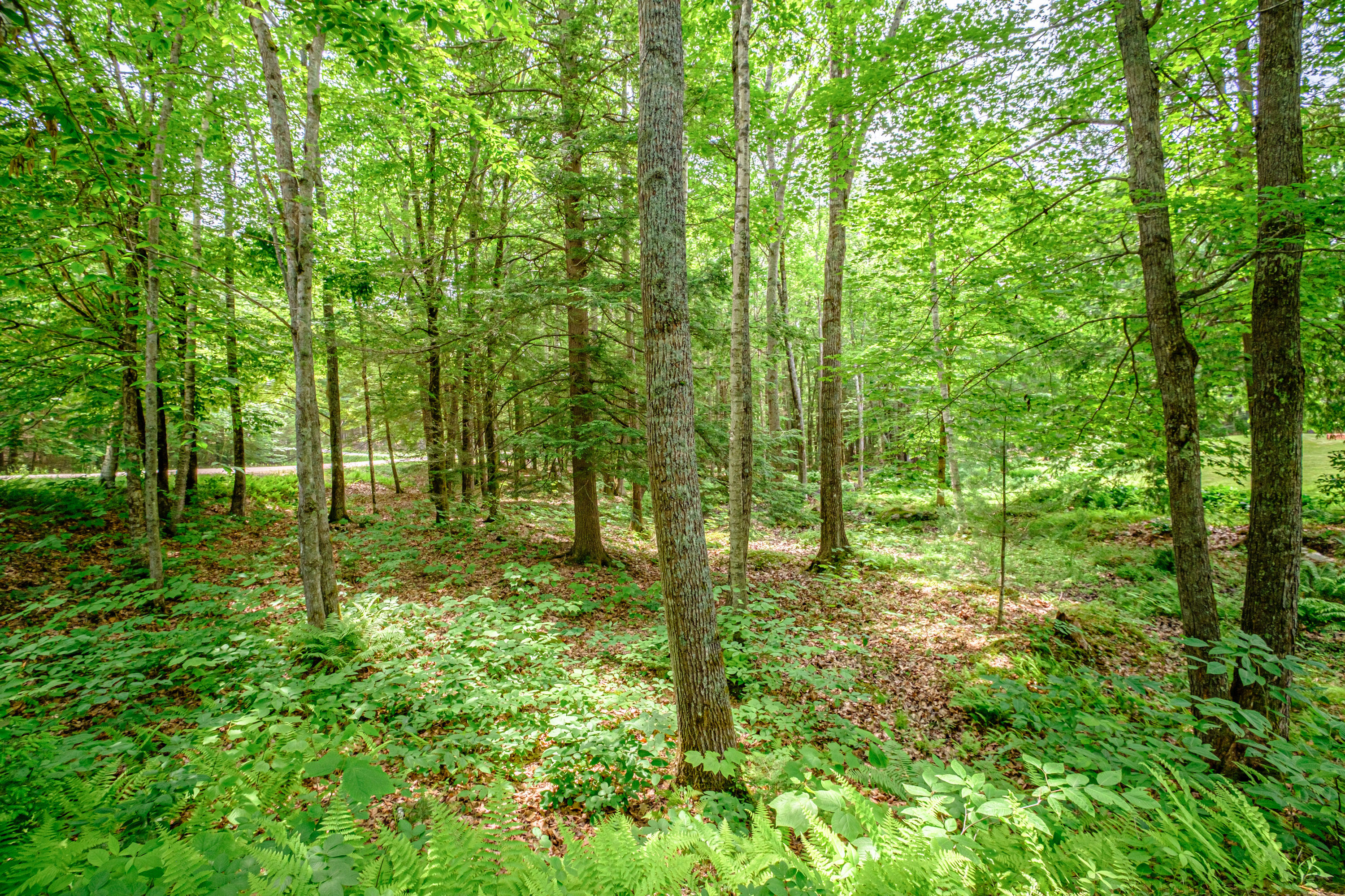 7 Indian Ridge Road Freeport, ME 04032 - Photo 16 of 43 20240614gp-61021