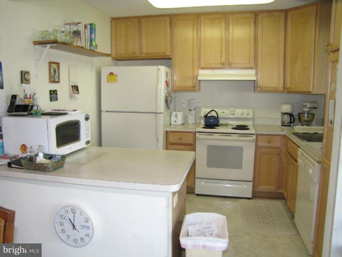 3308 Solomons Court, Unit 99B Silver Spring, MD 20906 - Photo 15 of 16 Kitchen different angle