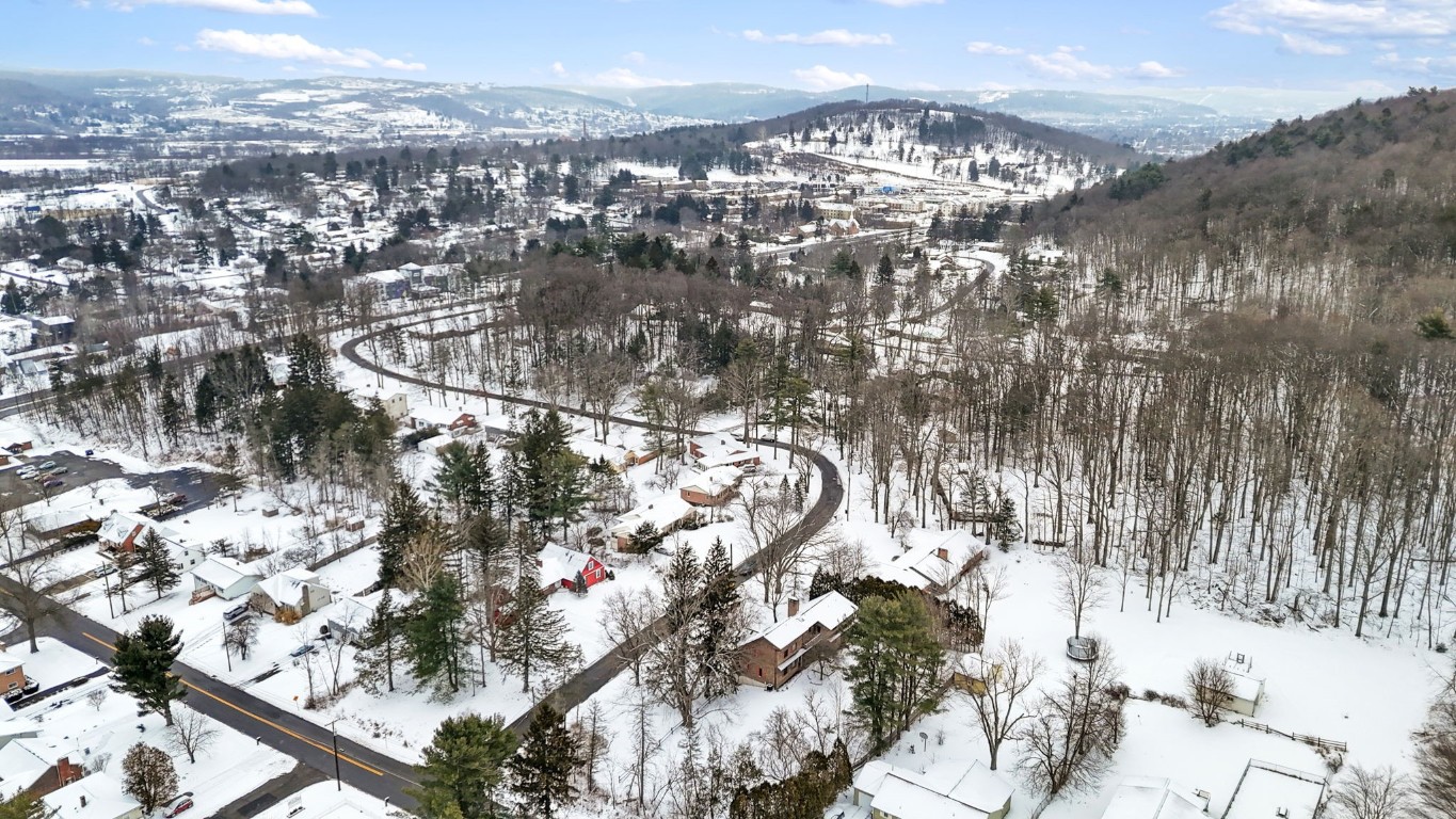 161 Chalburn Road Vestal, NY 13850 - Photo 47 of 50