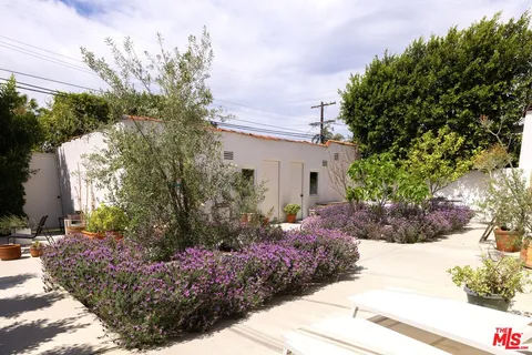 a view of a garden with potted plants