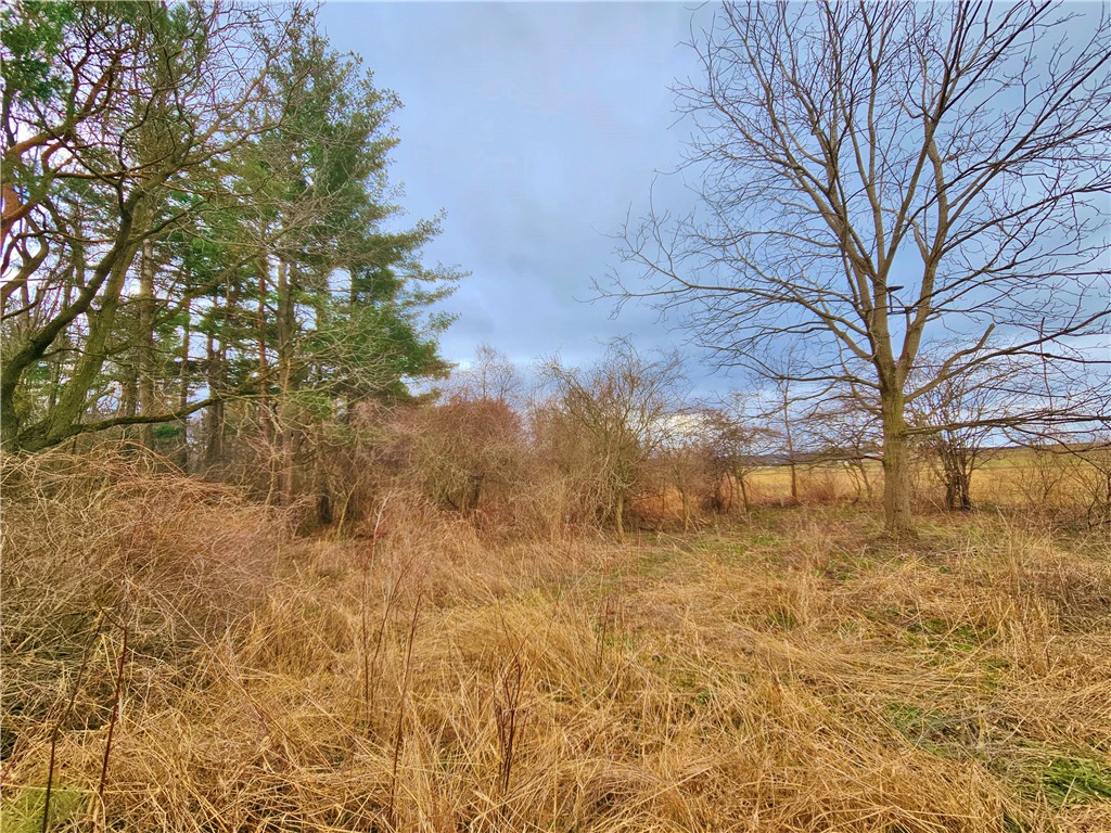2130 Guyanoga Road Jerusalem, NY 14527 - Photo 20 of 26