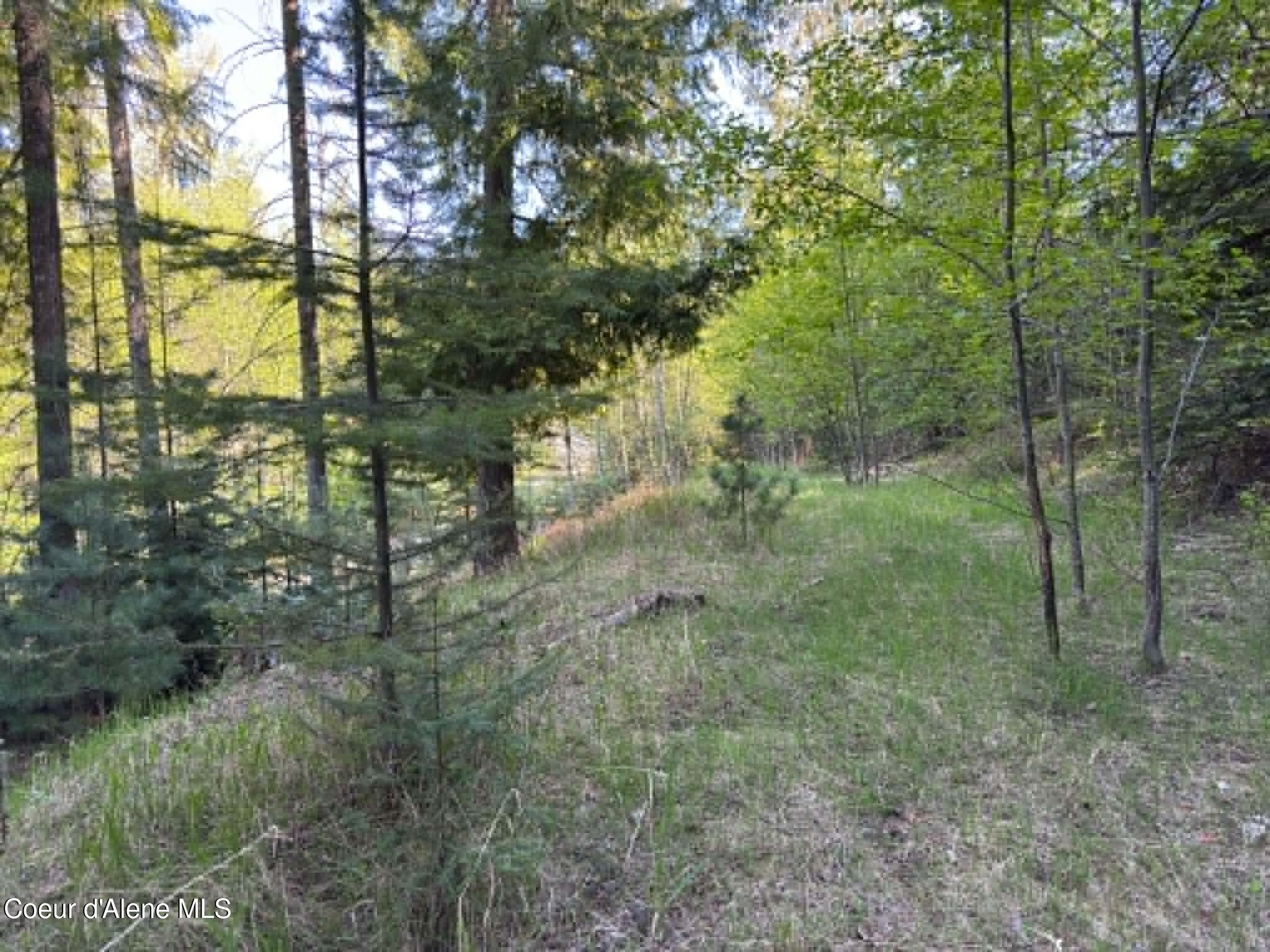 90 Shawnee Path Sagle, ID 83860 - Photo 19 of 47 cdb3ad35-6298-45a0-a877-1e506be4e386