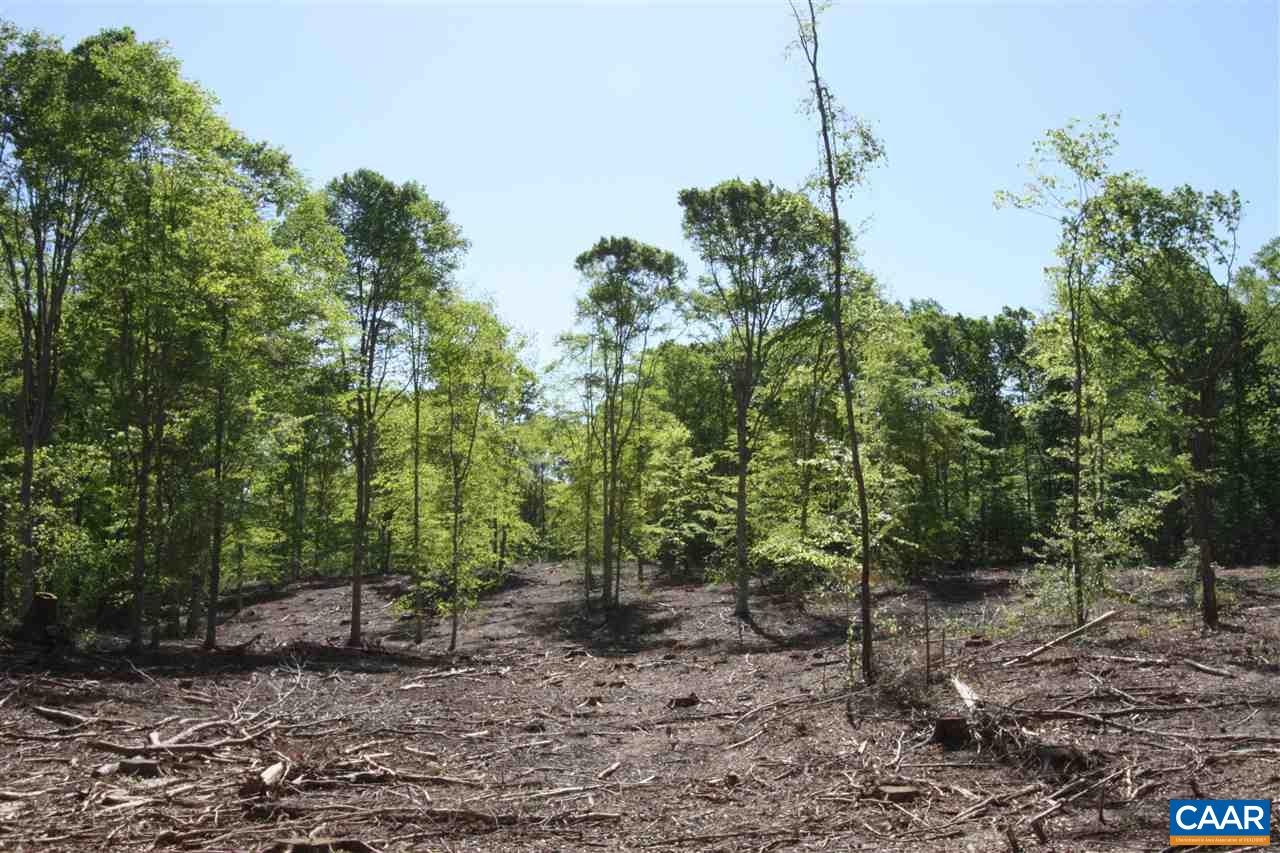 0 Belle Meade Road Bumpass, VA 23024 - Photo 4 of 11 a view of a forest with trees in the background