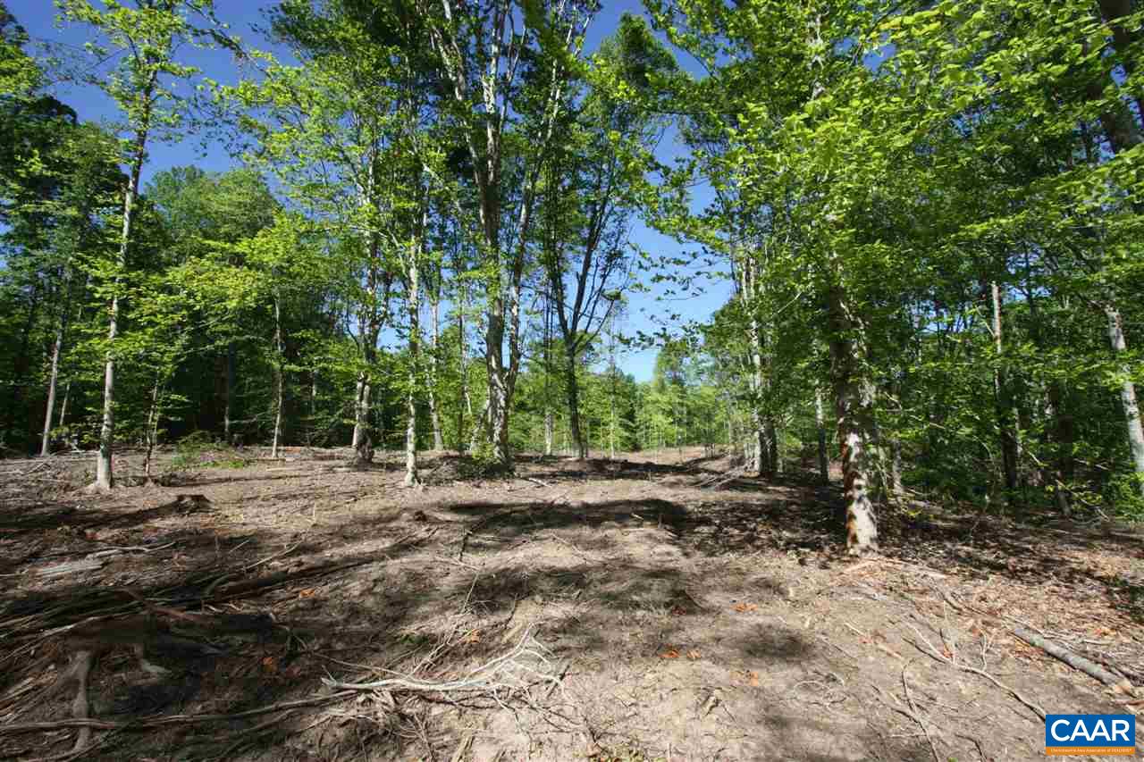 0 Belle Meade Road Bumpass, VA 23024 - Photo 9 of 11 a view of a yard with trees