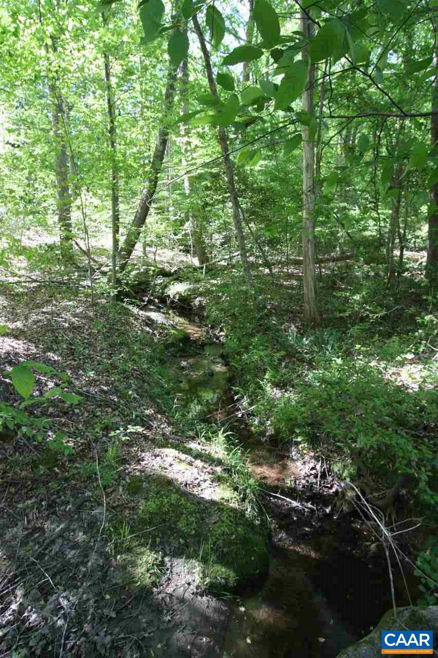 0 Belle Meade Road Bumpass, VA 23024 - Photo 10 of 11 a view of forest