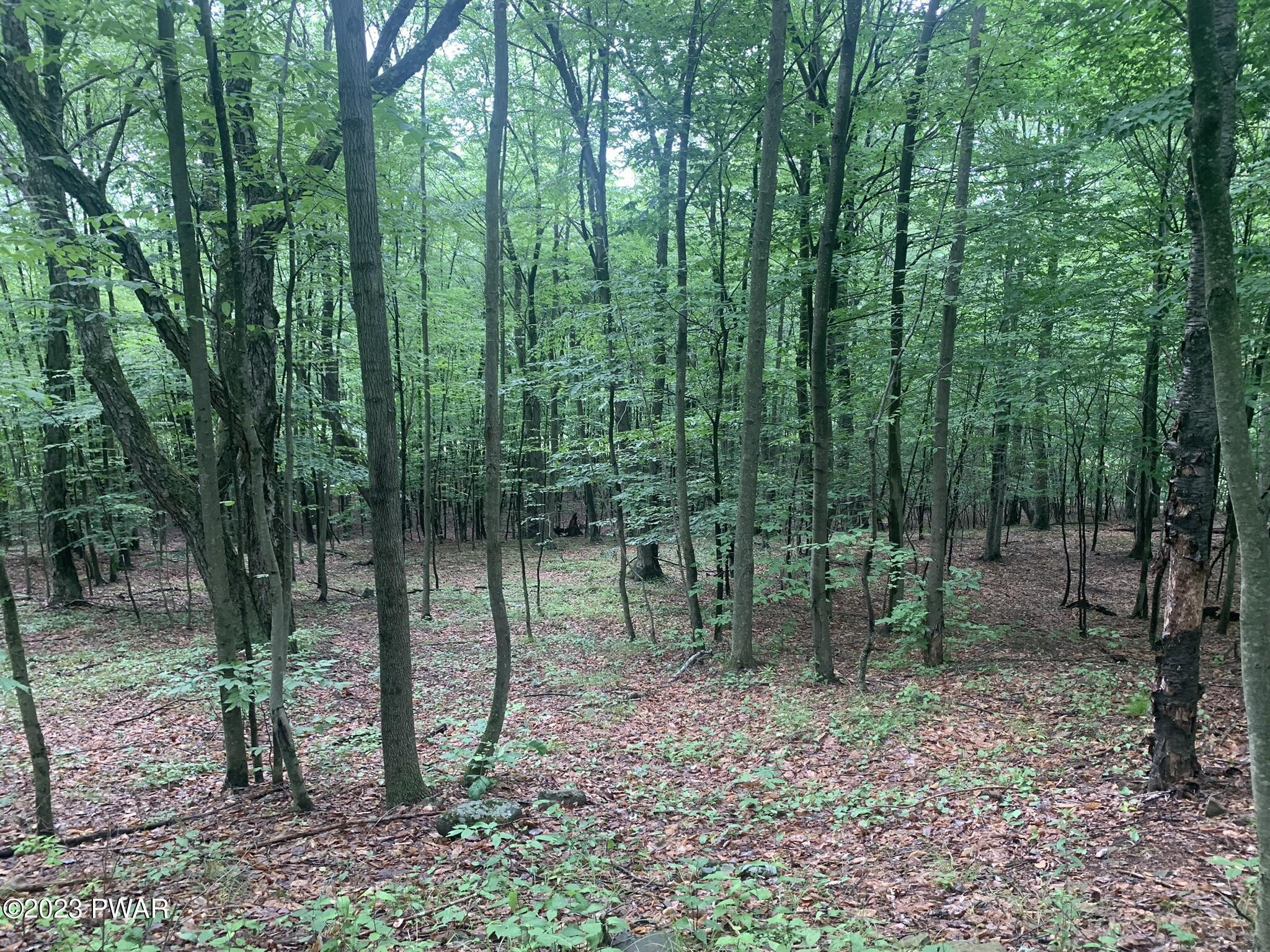 Lot 28 Murnin Rd Lake Lake Ariel, PA 18436 - Photo 1 of 11