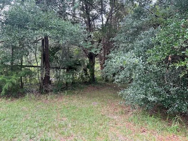 $475,000 | 3231 Northeast Ne Highway, Williston, FL 32696