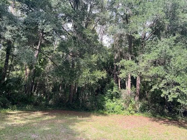 $475,000 | 3231 Northeast Ne Highway, Williston, FL 32696