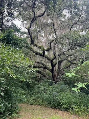 $475,000 | 3231 Northeast Ne Highway, Williston, FL 32696