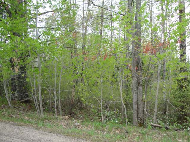 Lot 1 Crescent Road Rhinelander, WI 54501 - Photo 4 of 5 Gallery Image 4