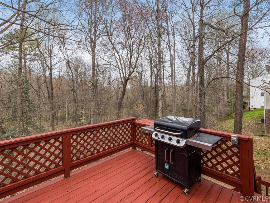 2518 Beaver Falls Road Midlothian, VA 23112 - Photo 23 of 26 Gallery Image 23