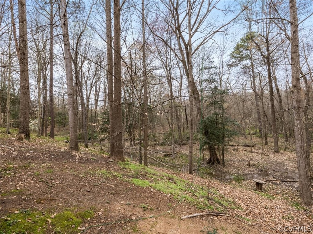 2518 Beaver Falls Road Midlothian, VA 23112 - Photo 25 of 26 Gallery Image 25