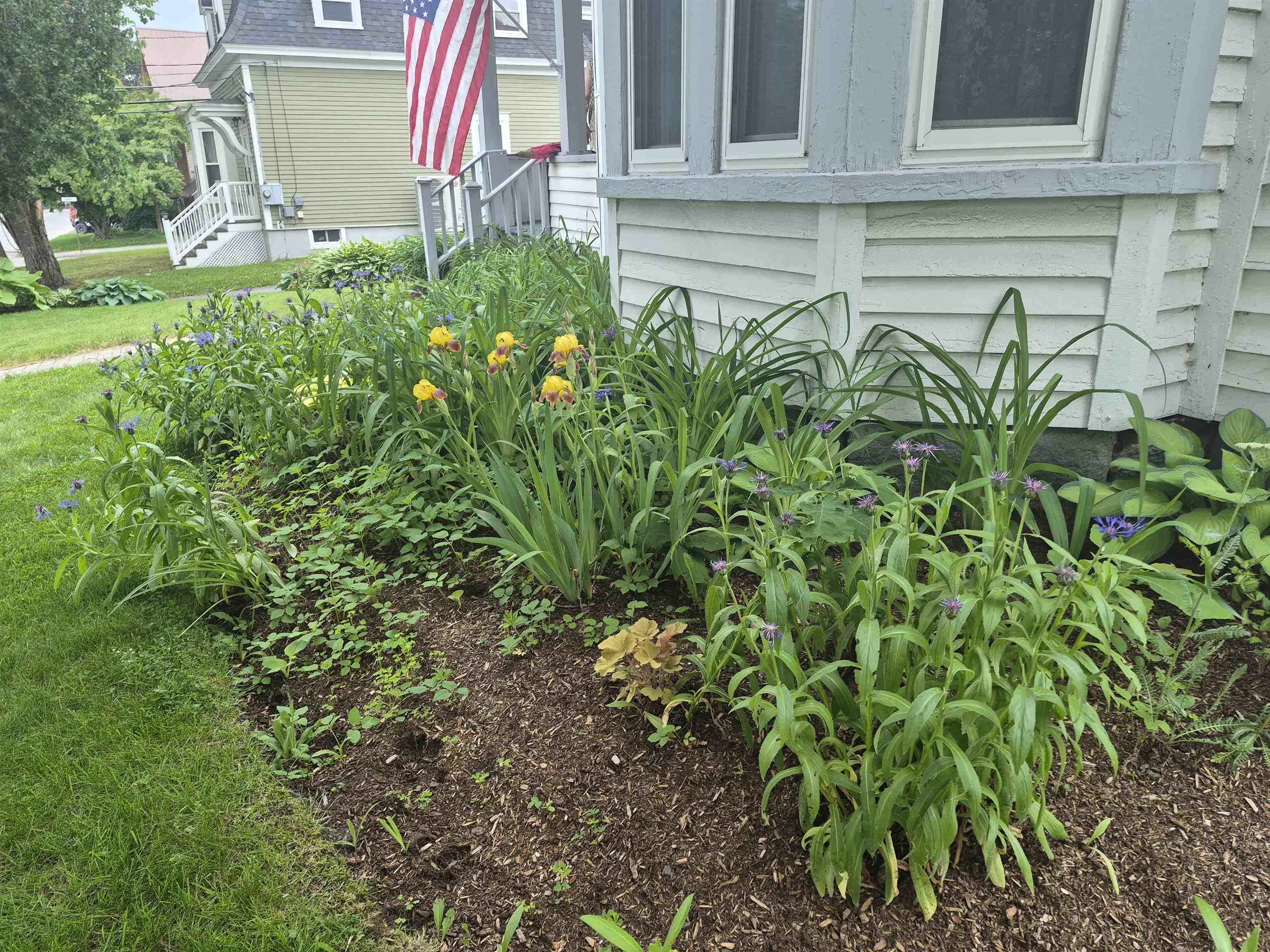 48 Middle Street Lancaster, NH 03584 - Photo 40 of 44