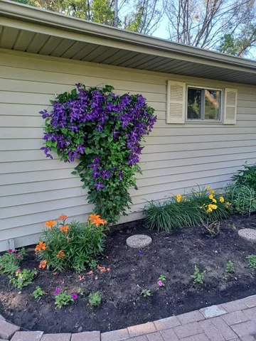 $289,900 | 1115 Swanhill Drive, Albert Lea, MN 56007