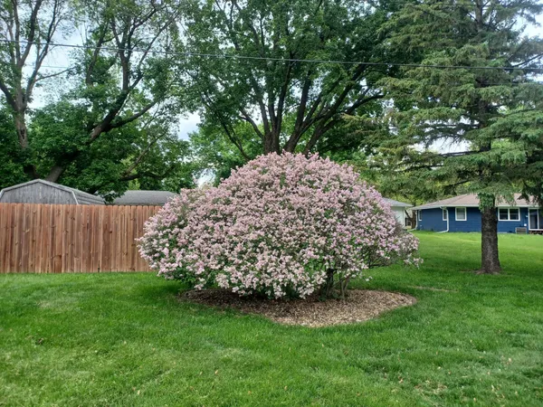 $289,900 | 1115 Swanhill Drive, Albert Lea, MN 56007