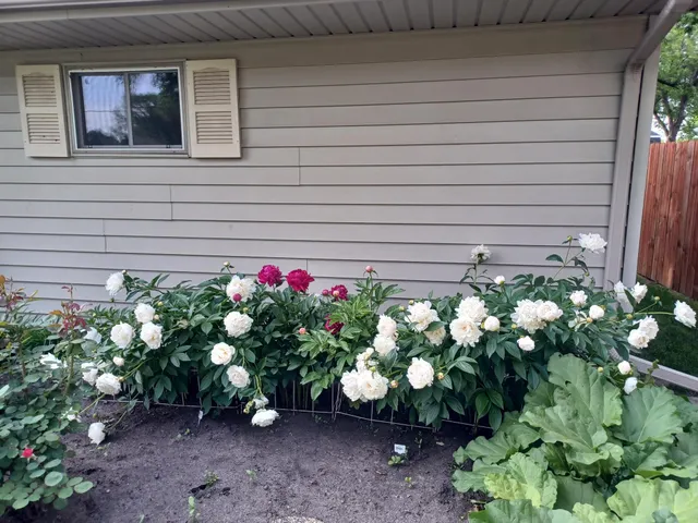 $289,900 | 1115 Swanhill Drive, Albert Lea, MN 56007