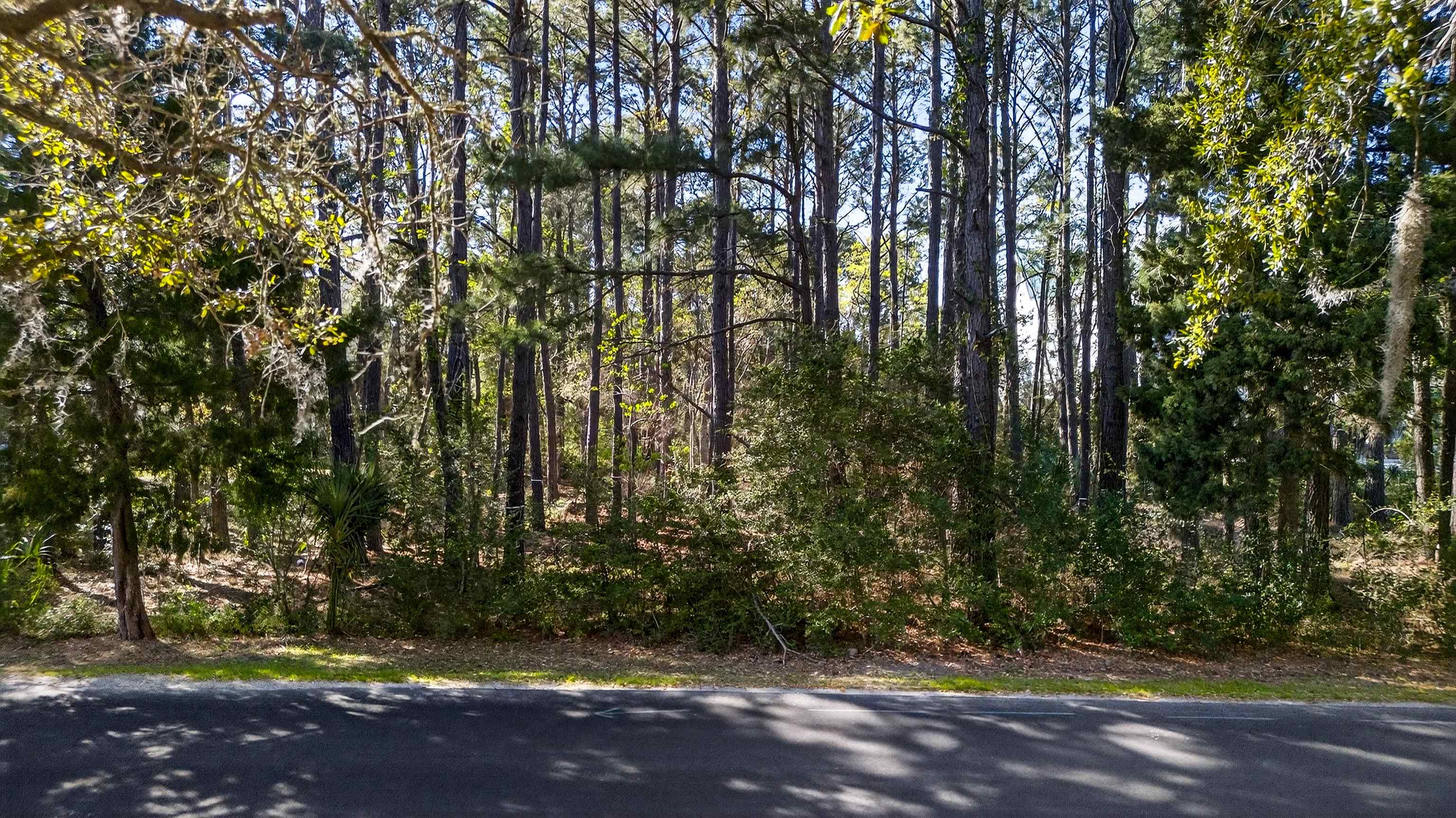Lot 18 Luvan Boulevard Georgetown, SC 29440 - Photo 3 of 12