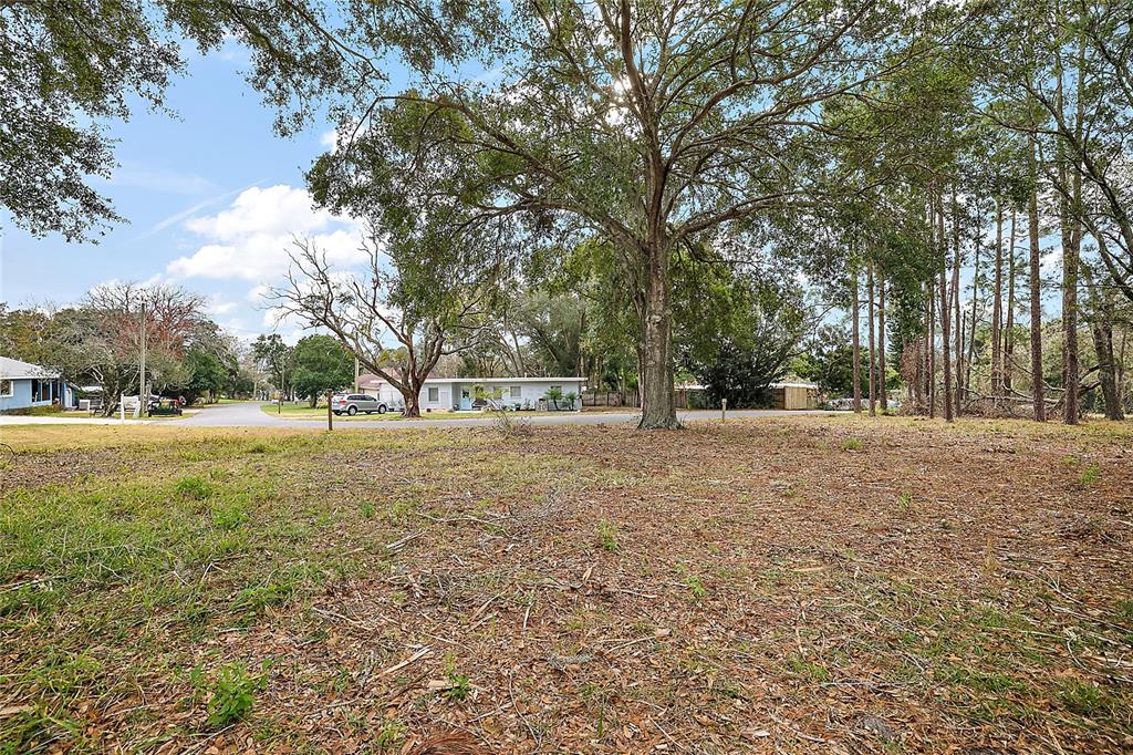Grovemont Estates Road Groveland, FL 34736 - Photo 8 of 8 Gallery Image 8