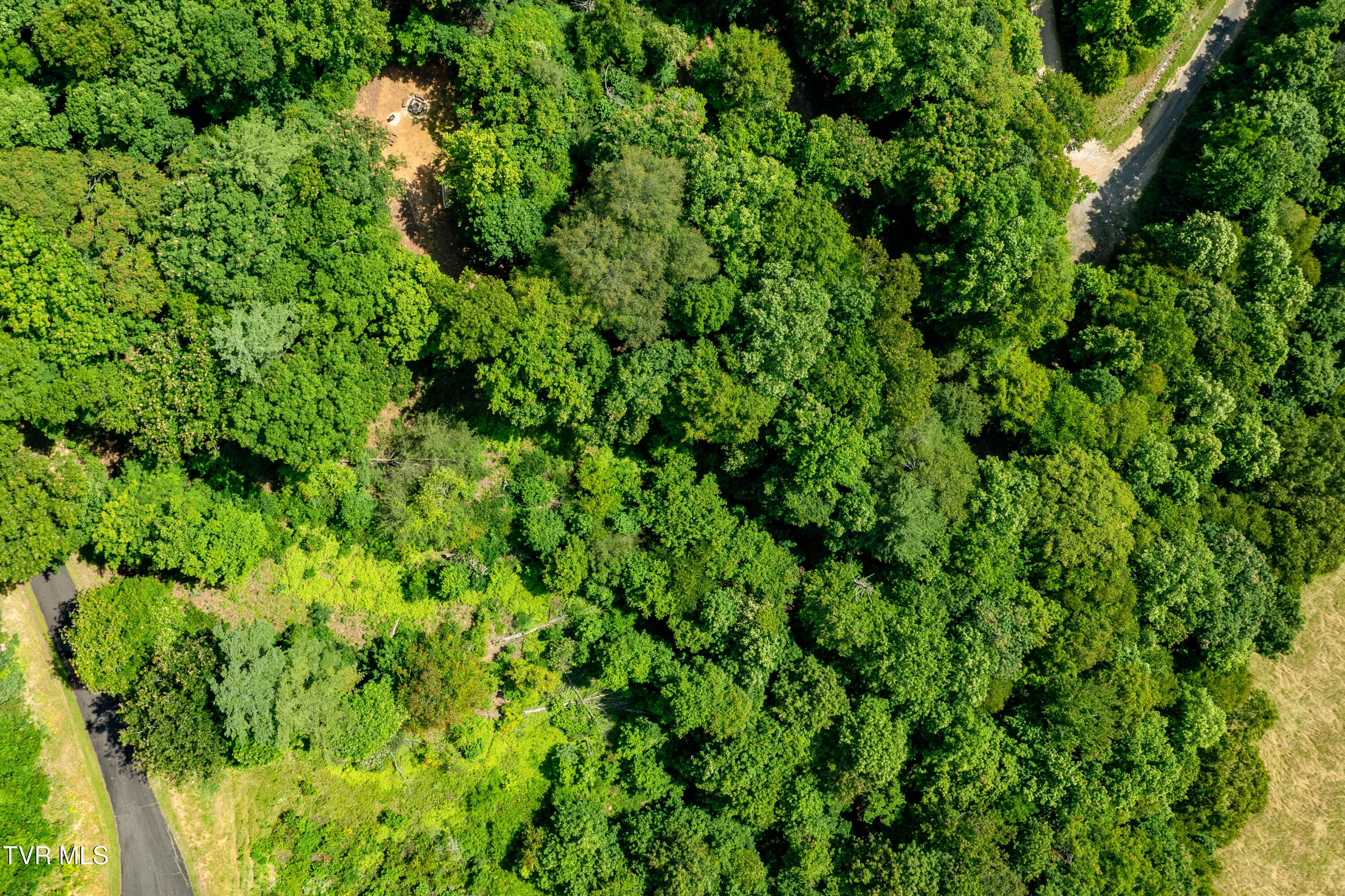 Lot 32 Lake Ridge Road, Unit 32 Butler, TN 37640 - Photo 2 of 30 Lot 32 (2 of 29)