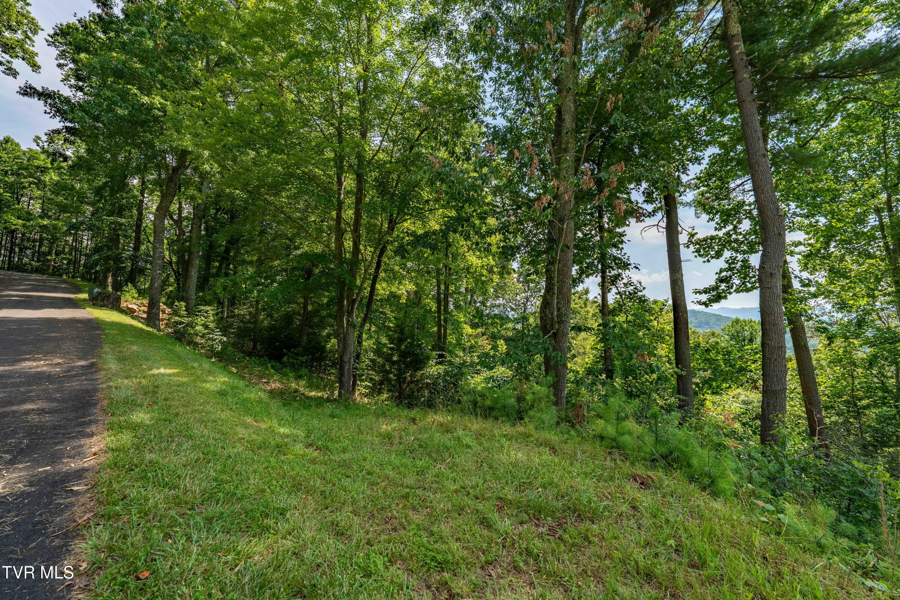 Lot 32 Lake Ridge Road, Unit 32 Butler, TN 37640 - Photo 27 of 30 Lot 32 (27 of 29)