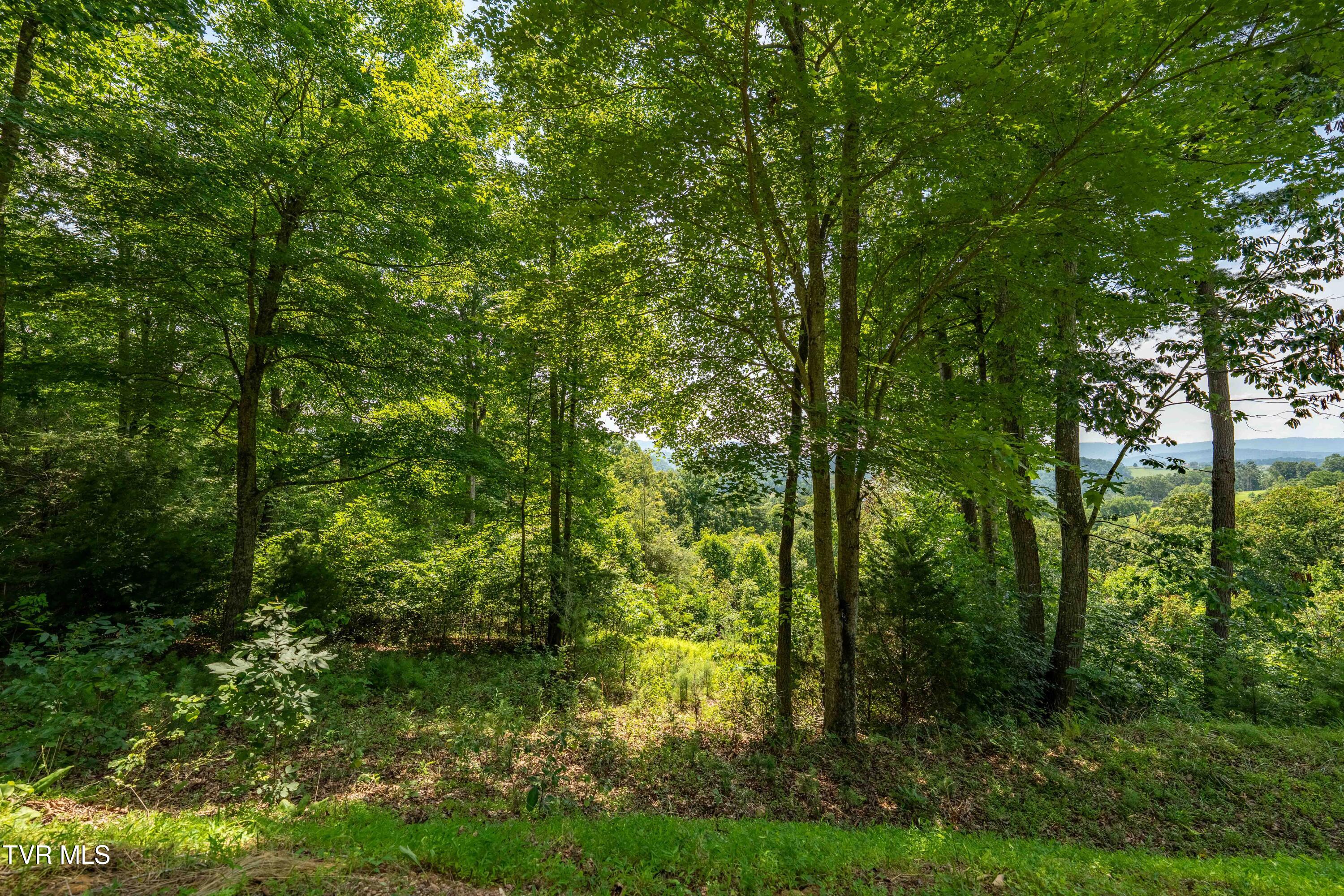 Lot 32 Lake Ridge Road, Unit 32 Butler, TN 37640 - Photo 28 of 30 Lot 32 (28 of 29)