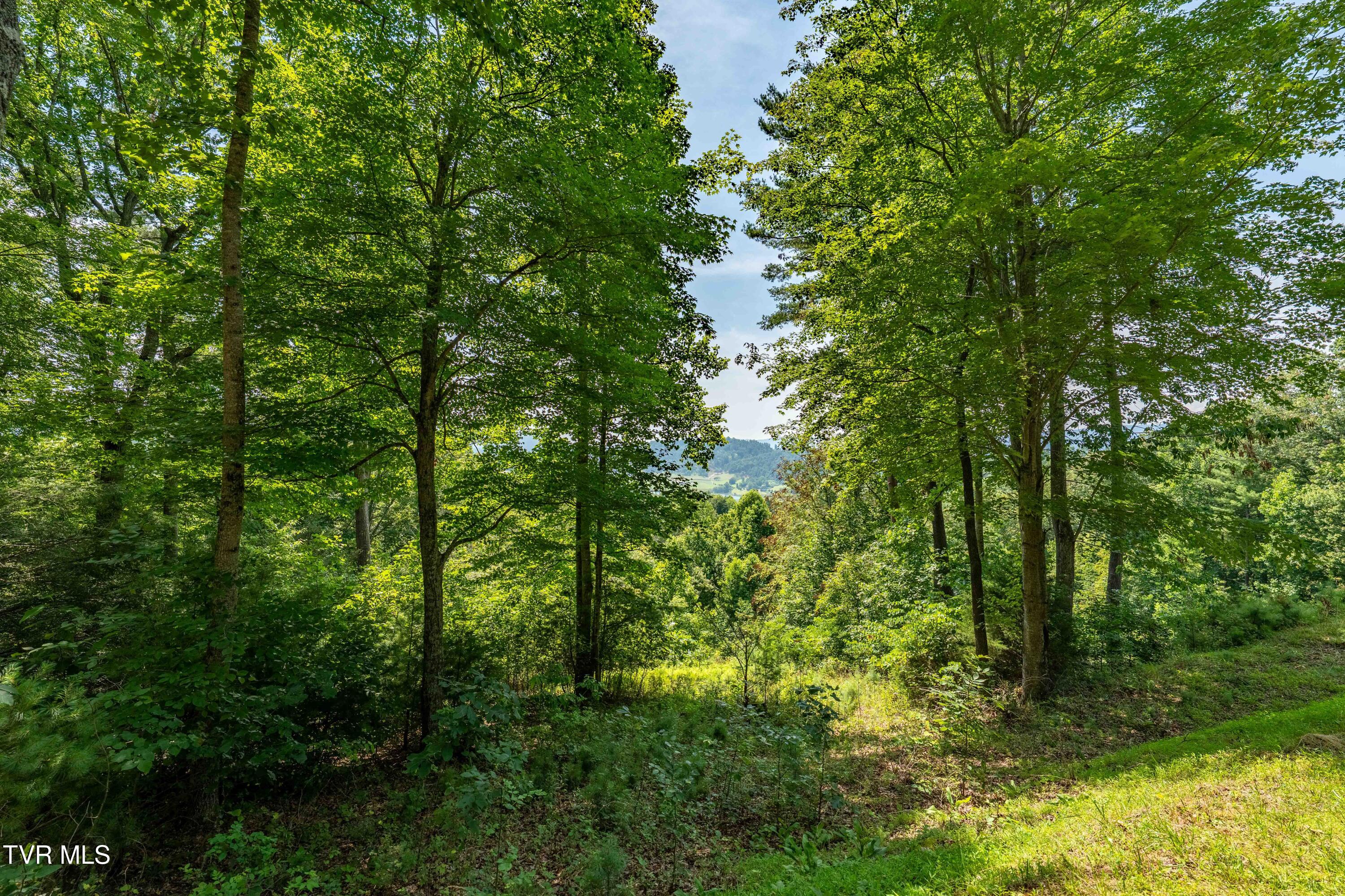 Lot 32 Lake Ridge Road, Unit 32 Butler, TN 37640 - Photo 29 of 30 Lot 32 (29 of 29)