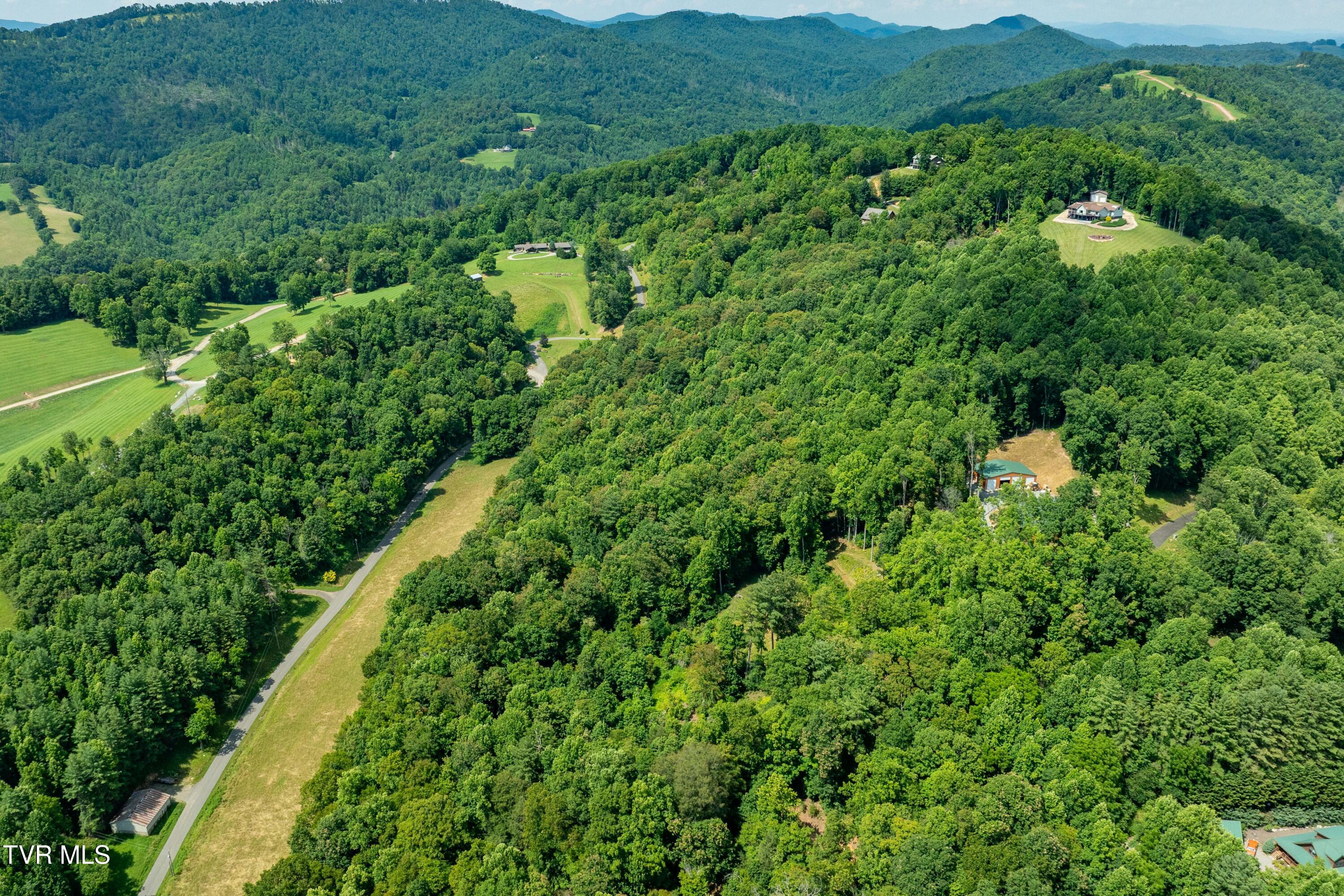 Lot 32 Lake Ridge Road, Unit 32 Butler, TN 37640 - Photo 10 of 30 Lot 32 (10 of 29)