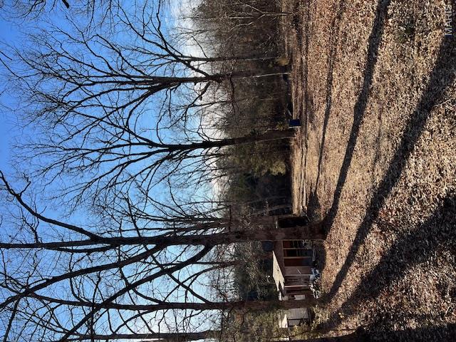 10827 Scout Camp Road Bismarck, MO 63624 - Photo 18 of 23
