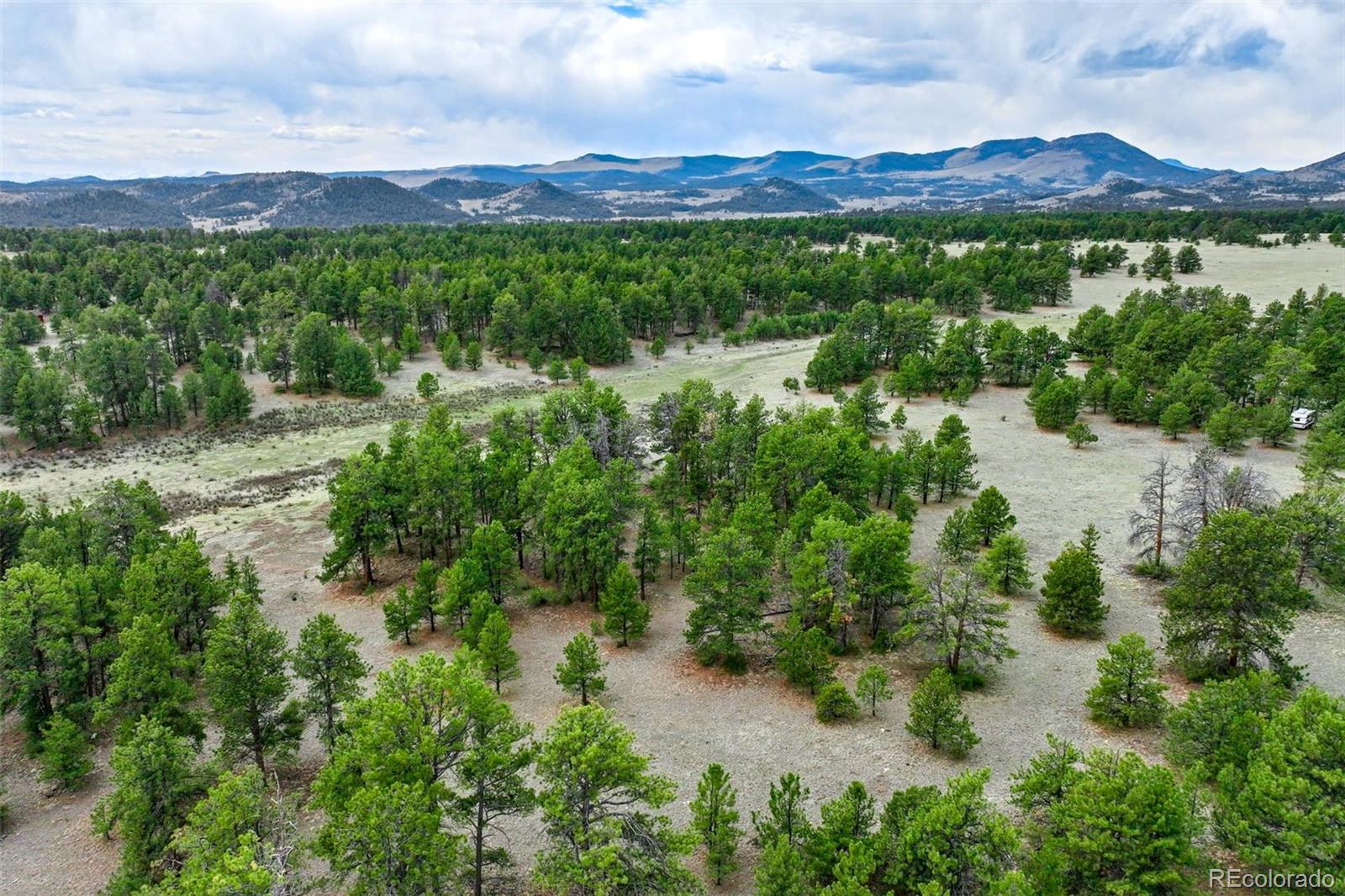 103 Doe Valley Road Guffey, CO 80820 - Photo 34 of 46