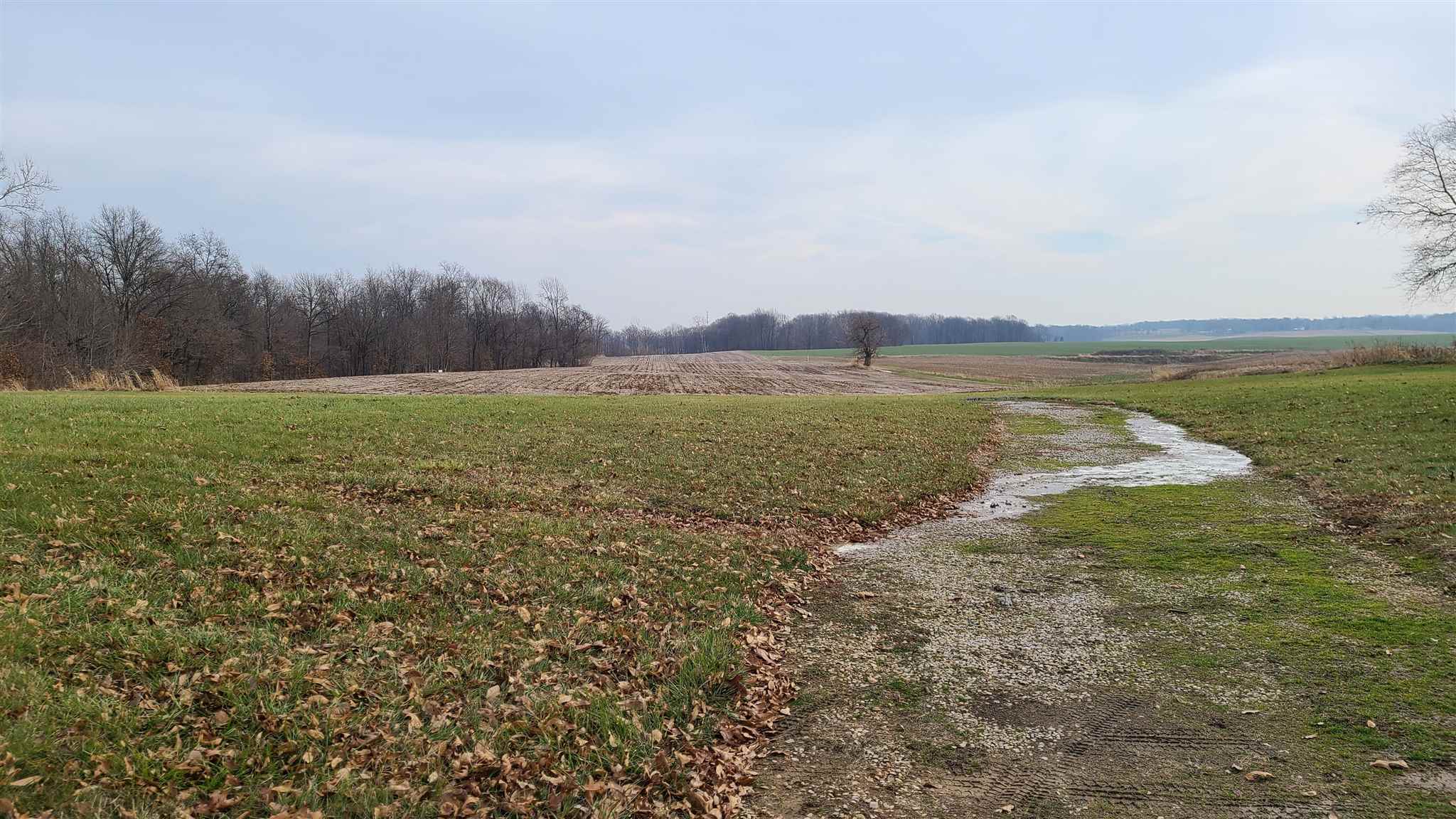 9180 Wiggins Road Poseyville, IN 47633 - Photo 25 of 25 Gallery Image 25