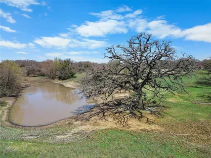 a view of a lake from a yard