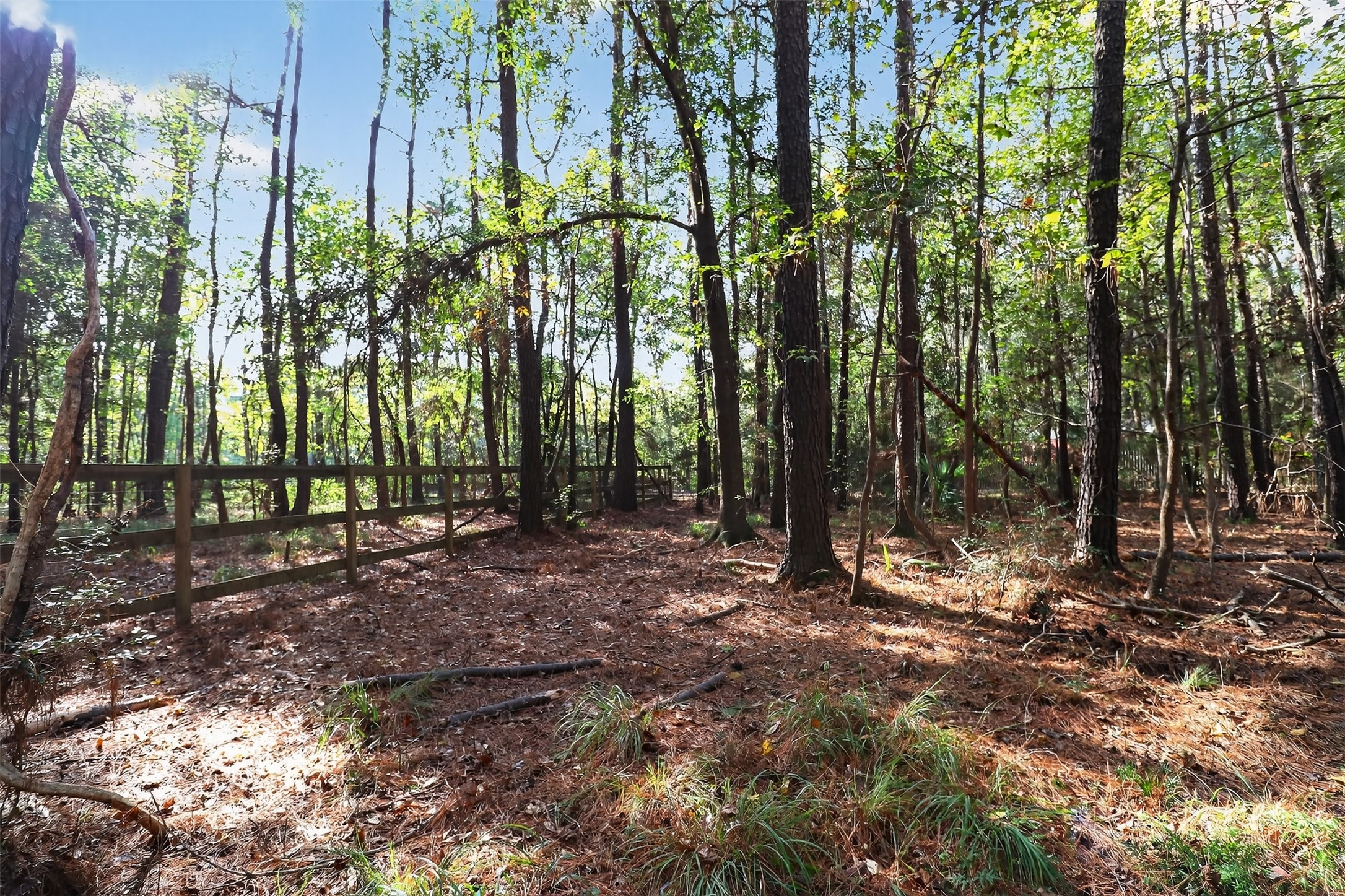 29633 Huffman Cleveland Road Huffman, TX 77336 - Photo 11 of 32