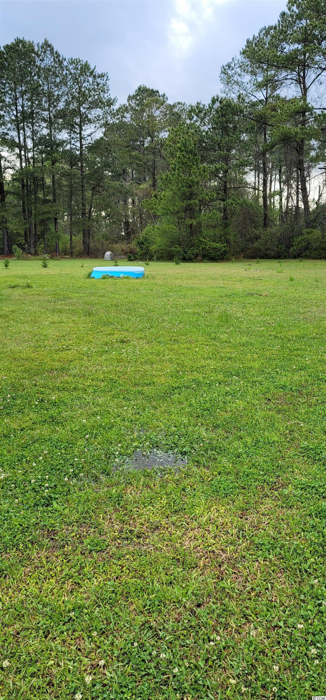 1212 Kingcrest Drive Loris, SC 29569 - Photo 7 of 7