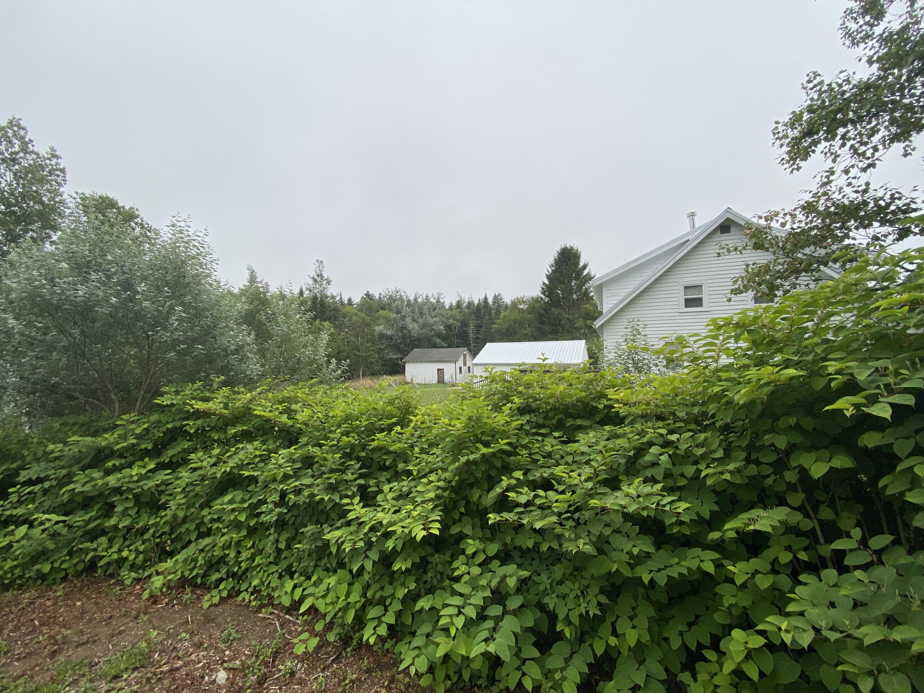 341 Mooseneck Road Addison, ME 04606 - Photo 12 of 12 Photo Aug 10, 5 36 26 PM