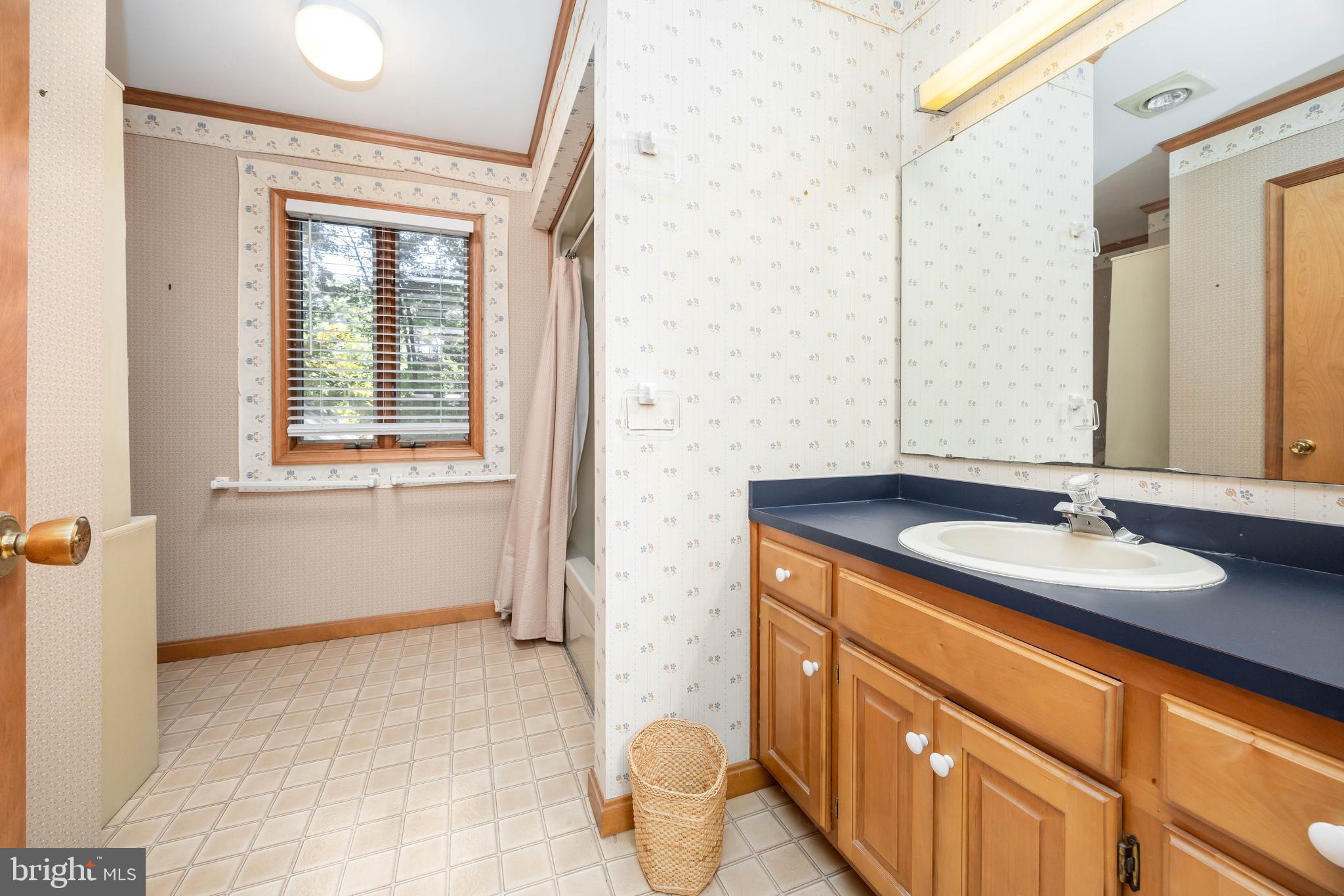 19 Brookside Road Ocean Pines, MD 21811 - Photo 40 of 80 a bathroom with a sink and a mirror