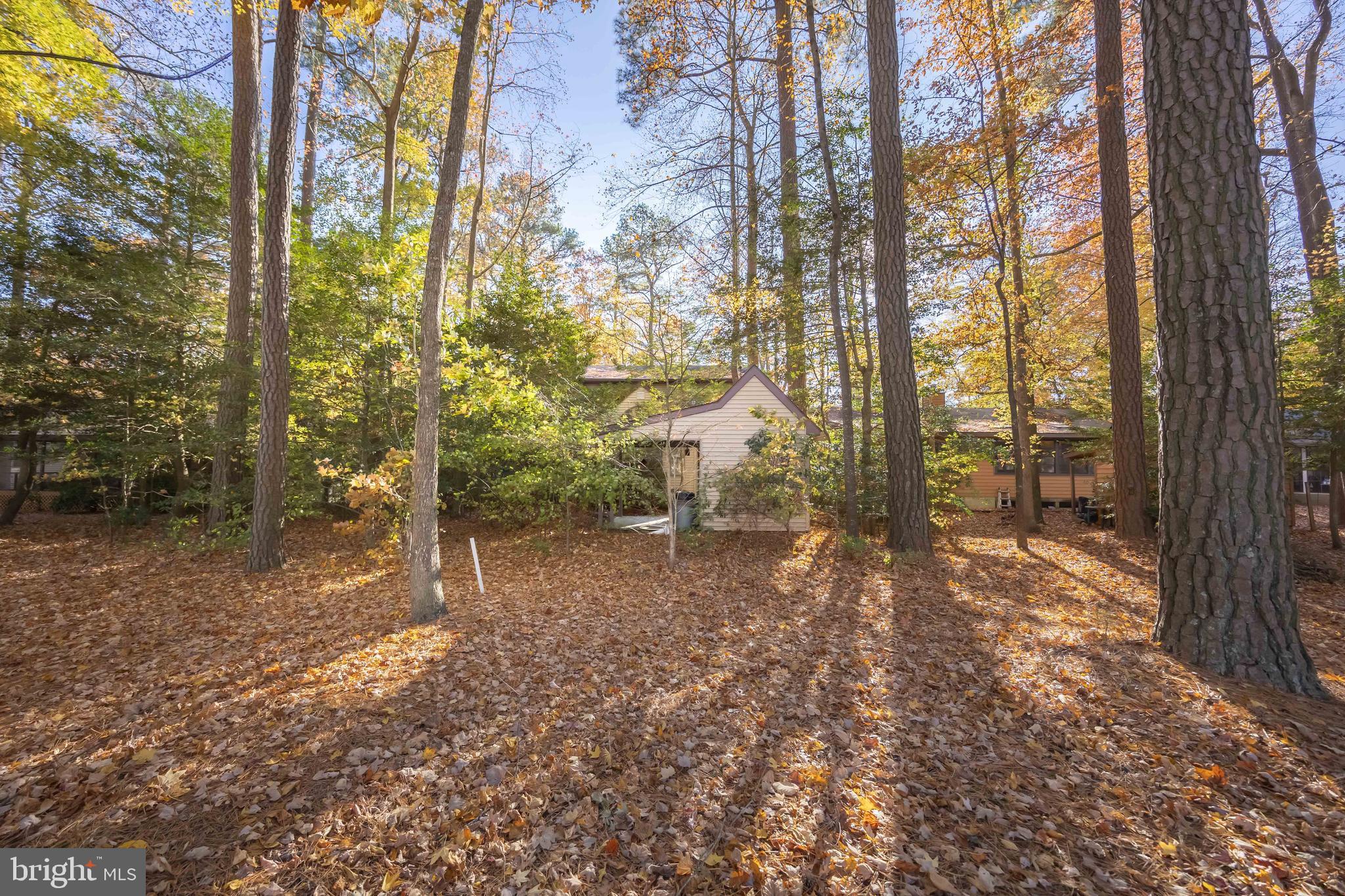 19 Brookside Road Ocean Pines, MD 21811 - Photo 74 of 80 a view of a yard with trees