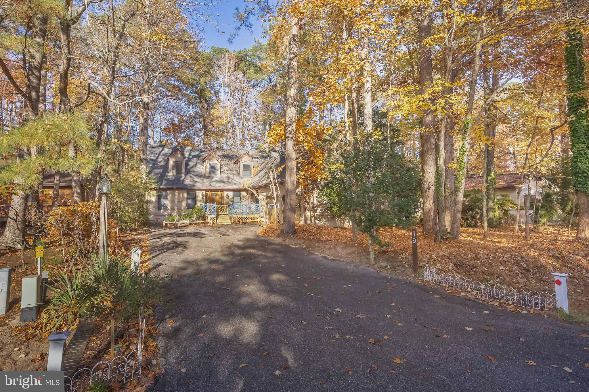 19 Brookside Road Ocean Pines, MD 21811 - Photo 75 of 80 a view of a yard with plants and trees